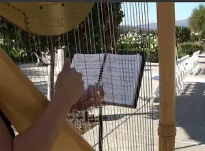 Erica Powell Walker Harpist