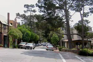 Large conifers give Carmel a forest feel.