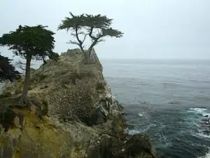 The iconic Lone Cypress is just one of the stops along the 17 Mile Drive.