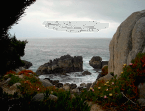 Explore the many secluded coves and and ocean vistas along this dramatic coastline.