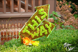 Point the way to a fun day with signs that reflect your style. Planning and design: Kevin Covey Wedding and Event Design Photography by Bleu Cotton Photography