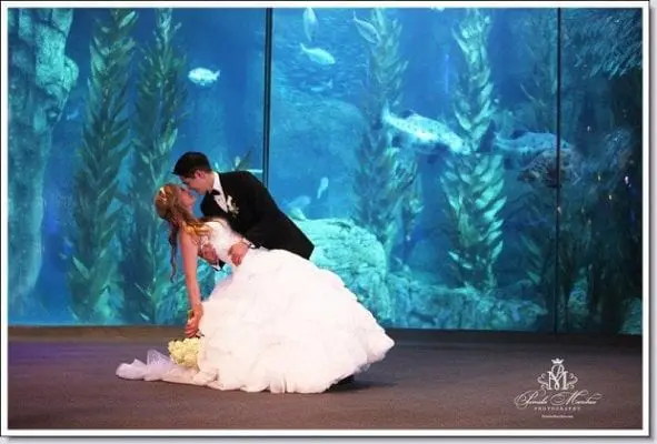 Aquarium of the Pacific - WeddingCompass.com - pdspecialevents.com