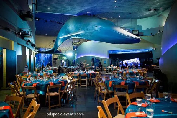 Aquarium of the Pacific - WeddingCompass.com - pdspecialevents.com