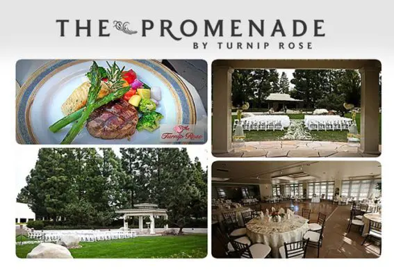 Turnip Rose Promenade and Gardens