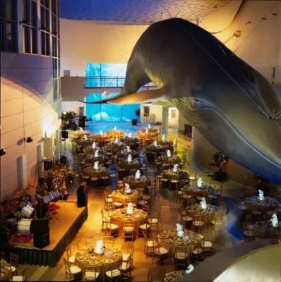 Aquarium of the Pacific - WeddingCompass.com