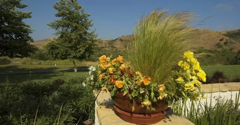 Arroyo Trabuco Country Club