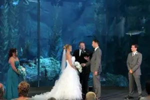 Stephanie-and-Troy - WeddingCompass.com-Aquarium-of-the-Pacific