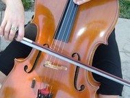 Image The Del Lago Trio