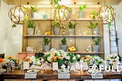 Design - Organic Elements Photography - Half Full Photography