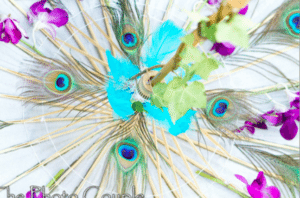 Peacock feathers create a beautiful table design Image provided by Celebrations by Diana